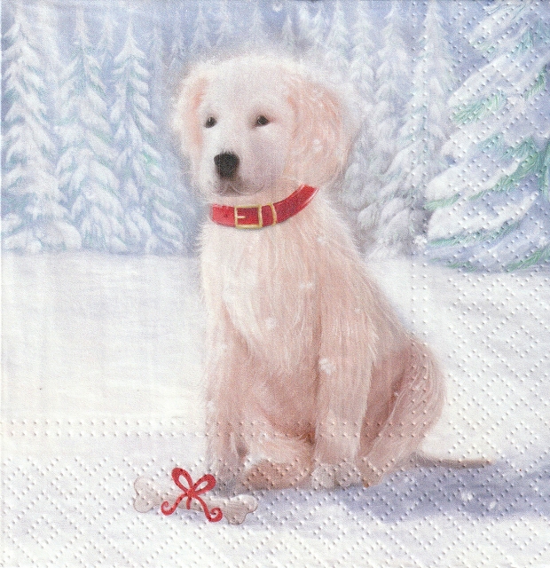 ５枚組ペーパーナプキン＊Snow Dog