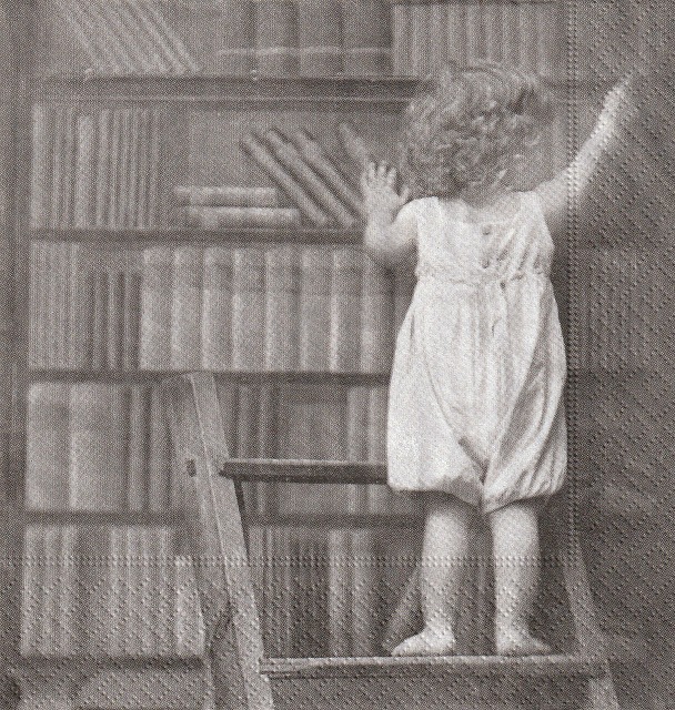 ５枚組ペーパーナプキン＊Library Boy