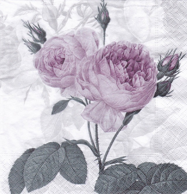５枚組ペーパーナプキン＊Purple Vintage Rose