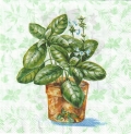 カクテルサイズ５枚組＊Aromatic Herbs