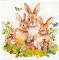 カクテルサイズ５枚組＊Bunny Family