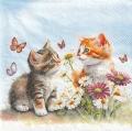 カクテルサイズ５枚組＊Kittens in flower