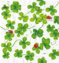 カクテルサイズ５枚組＊LUCK