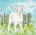 ５枚組ペーパーナプキン＊Lamb