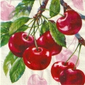 ５枚組ペーパーナプキン＊Cherry Fruits