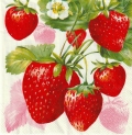 ５枚組ペーパーナプキン＊Strawberry Fruits