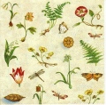 Botanical Study