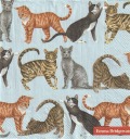 ５枚組ペーパーナプキン＊CATS