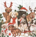 ５枚組ペーパーナプキン＊DOG Xmas