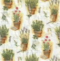 ５枚組ペーパーナプキン＊Herbs in Pots