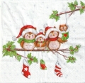 ５枚組ペーパーナプキン＊Owl Family