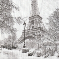 ５枚組ペーパーナプキン＊Winter in Paris