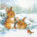 ５枚組ペーパーナプキン＊Friends in SnowＡ