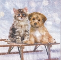 ５枚組ペーパーナプキン＊Mimi & Bo