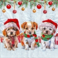 ５枚組ペーパーナプキン＊Cute Puppies