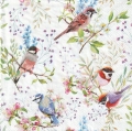 ５枚組ペーパーナプキン＊Busy Birds