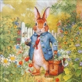 ５枚組ペーパーナプキン＊Mr.Rabbit