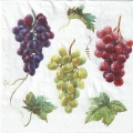 ５枚組ペーパーナプキン＊Wine Grapes