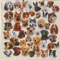 ５枚組ペーパーナプキン＊Collection of Dog