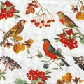 ５枚組ペーパーナプキン＊Autumn Birds