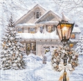５枚組ペーパーナプキン＊Christmas House