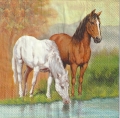 ５枚組ペーパーナプキン＊Horses