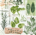 ５枚組ペーパーナプキン＊Herb Print