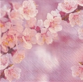 ５枚組ペーパーナプキン＊Sweet Cherry