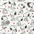 ５枚組ペーパーナプキン＊Snoopy