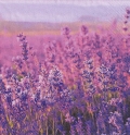 ５枚組ペーパーナプキン＊Field of Lavender