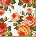 ５枚組ペーパーナプキン＊Tea Roses