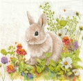 ５枚組ペーパーナプキン＊Little Bunny