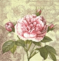 ５枚組ペーパーナプキン＊Vintage Rose