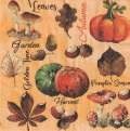 ５枚組ペーパーナプキン＊Vintage Autumn