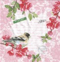 ５枚組ペーパーナプキン＊Sweet Bird
