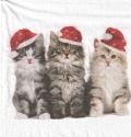 ５枚組ペーパーナプキン＊Xmas Cats