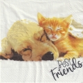 ５枚組ペーパーナプキン＊Dog & Cat