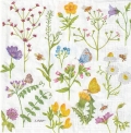 ５枚組ペーパーナプキン＊Cornflowers