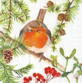 ５枚組ペーパーナプキン＊Robin in Tree