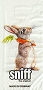 ミニペーパーナプキン＊Rabbit & Carrot