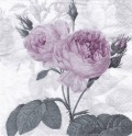 ５枚組ペーパーナプキン＊Purple Vintage Rose