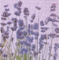 ５枚組ペーパーナプキン＊Lavender Violet