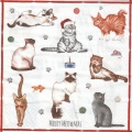 ５枚組ペーパーナプキン＊Merry Meowmas