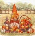 ５枚組ペーパーナプキン＊Harvest Gnome