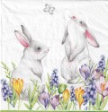 ５枚組ペーパーナプキン＊Bunnies in Spring