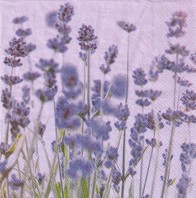 ５枚組ペーパーナプキン＊Lavender Violet