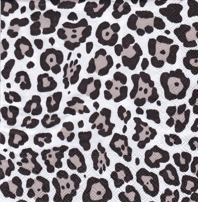 ５枚組ペーパーナプキン＊アルネラ＊ブラック
