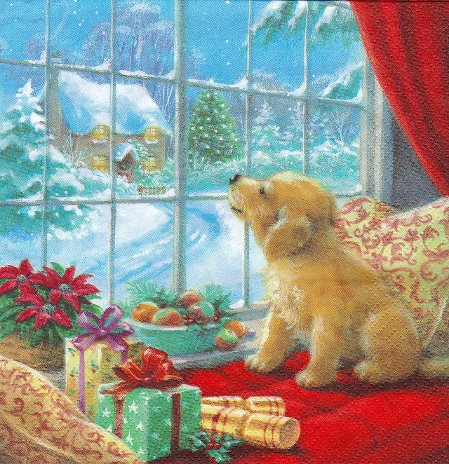 ５枚組ペーパーナプキン＊Puppy on Window Seat