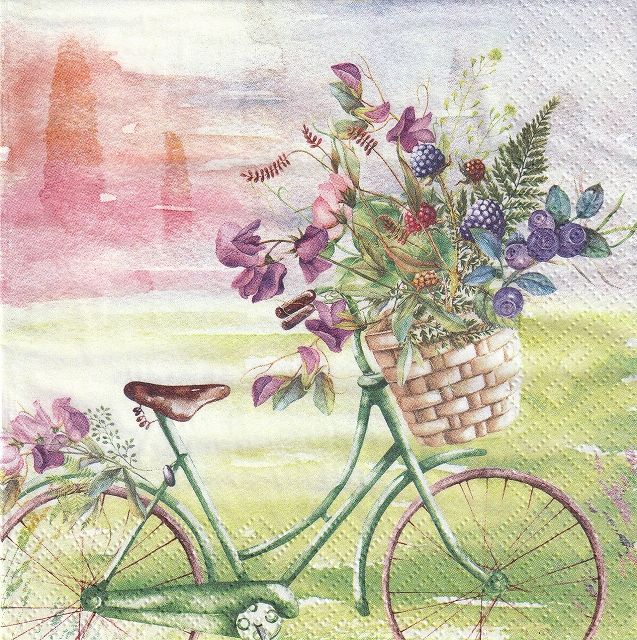 ５枚組ペーパーナプキン＊Summer Ride