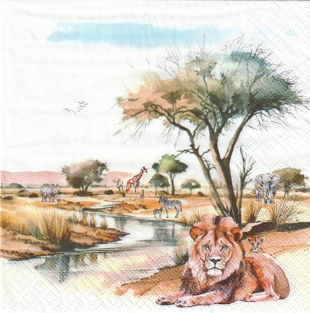 ５枚組ペーパーナプキン＊Etosha